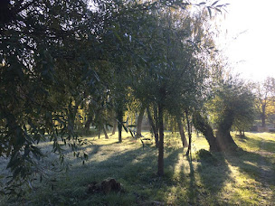 Photo n°6 de Commanderie De Villemoison à Saint-Père (Agence de location de chalets)
