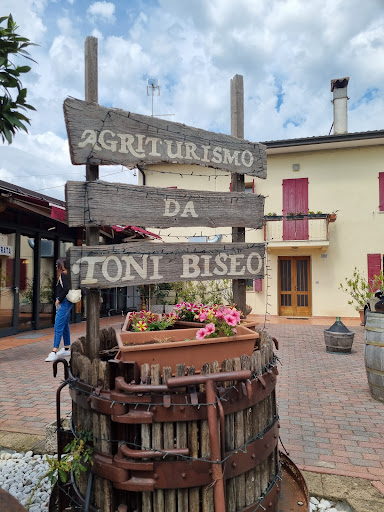 Az. agricola e Agriturismo da Toni Biseo - Thumbnail