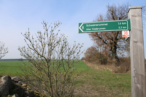 Alter Feldbrunnen - Thumbnail
