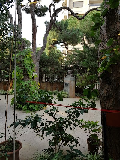Photos of Al Hayek