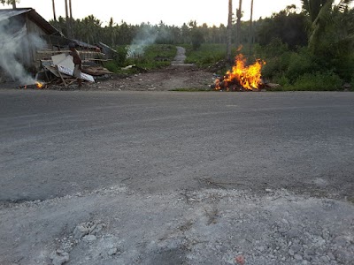 Photos of Maleo Park