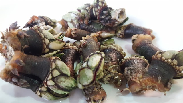 Mesón Galego Antoxo