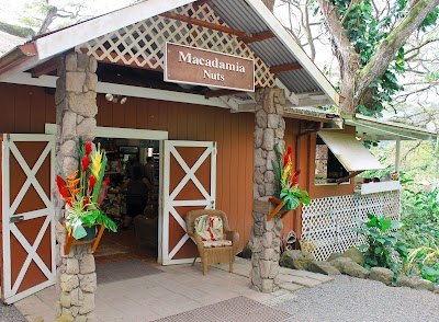 Aloha Hawaii Tours