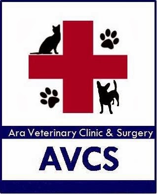 Veterinary Care