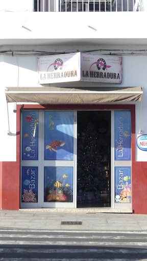 Bazar La Herradura - Thumbnail
