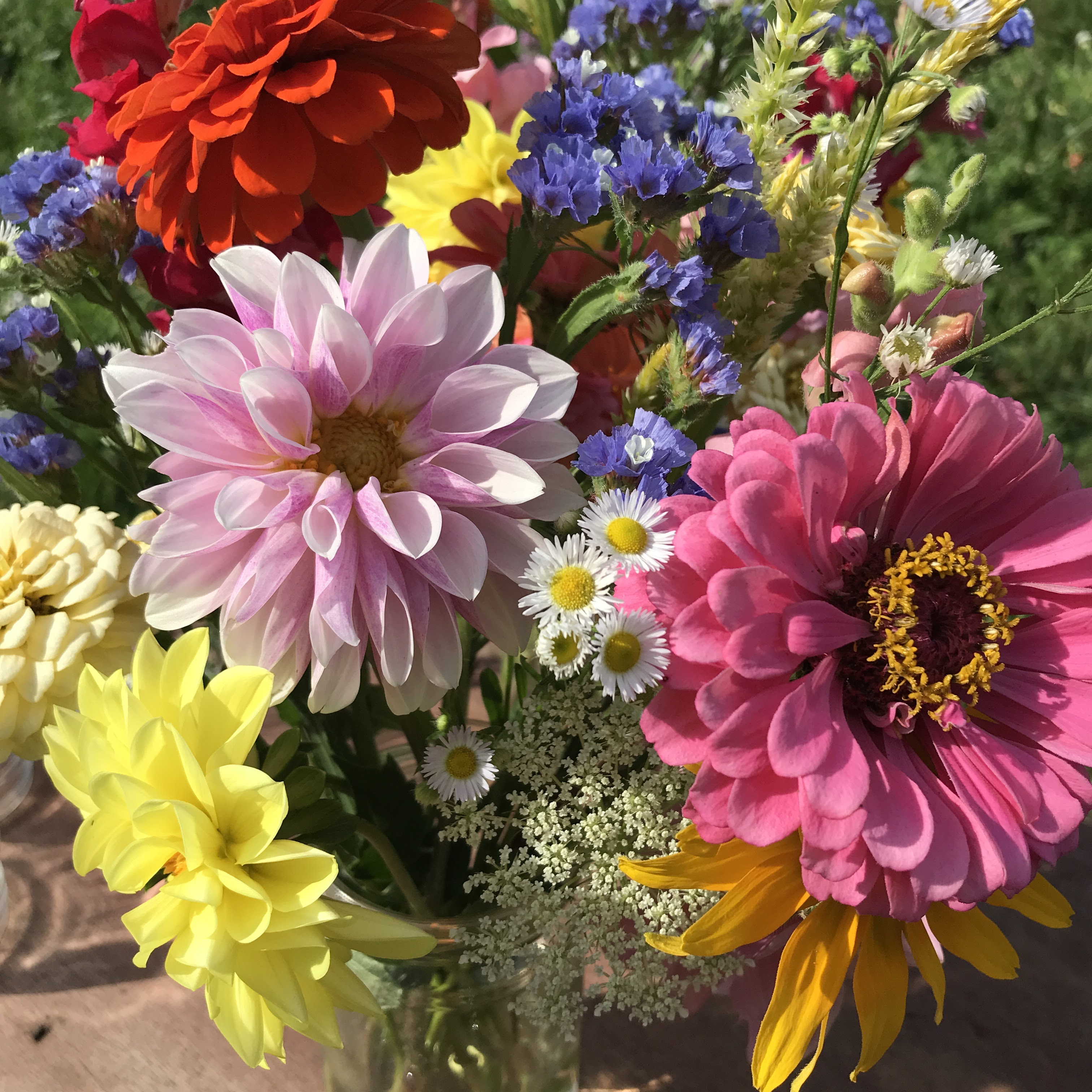 Wild Hope Gardens