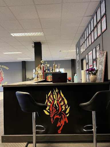 Phoenix Fight Academy - Thumbnail