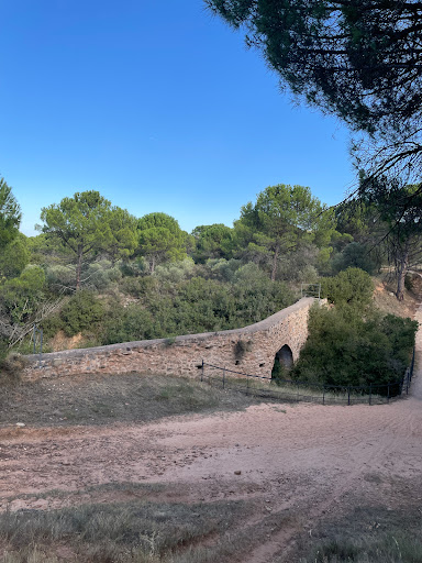 Sendero del Monte Vico - Thumbnail