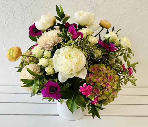 Focus Floral - Visual