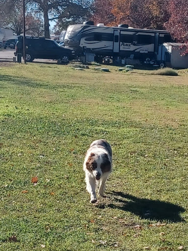Rock N Robin RV Resort - Thumbnail