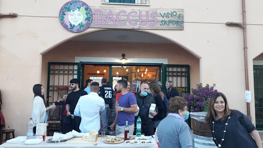 Baccus vino e sapori