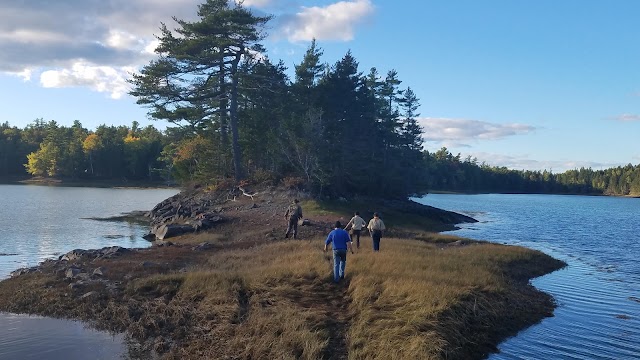 Cobscook Bay State Park