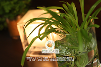 頭痛・肩こり専門整体 rakuらく館