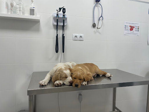 Clínica Veterinaria Munic72 - Thumbnail