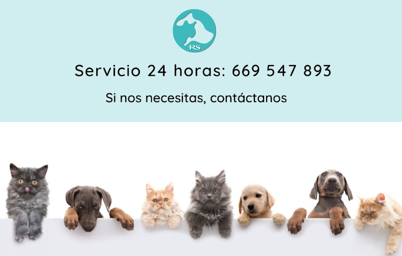 Recordarte y Sonreír - Crematorio de Mascotas