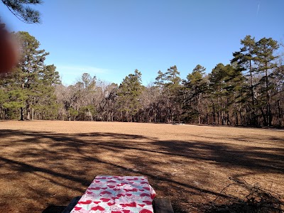 Photos of Poinsett State Park
