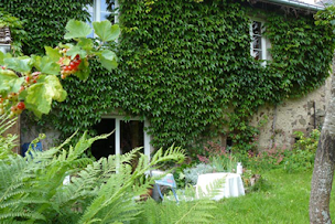 Photo n°3 de Les Mirabeliers à Ban-de-Laveline (Chambre d'hôtes)