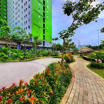 Photos of Green Pramuka City: Chrysant