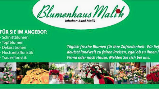 Blumenhaus Malik Langenhorn Markt - Thumbnail