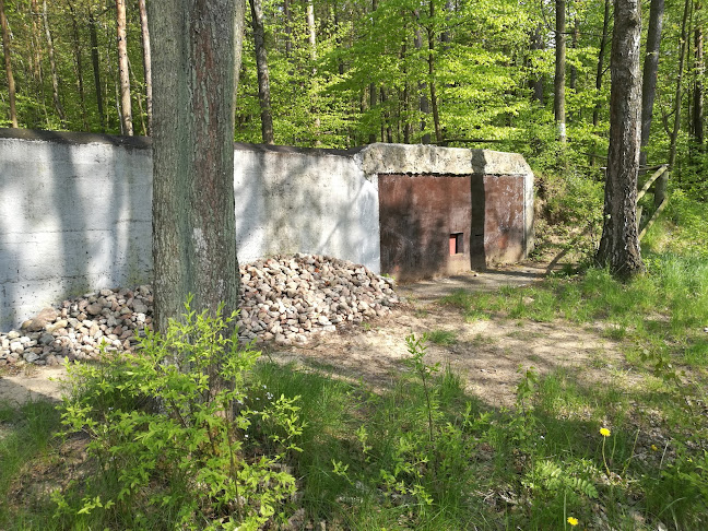 Opinii despre Skansen Fortyfikacji Stare Jabłonki în Iława - Muzeum