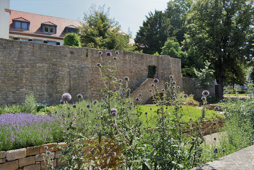 Marianne-Cope-Garten - Thumbnail