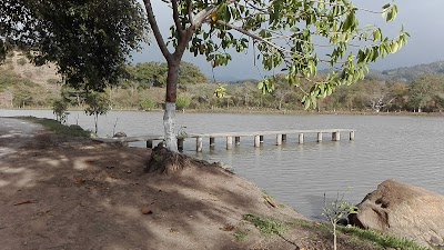 Photos of Laguna Monja Blanca