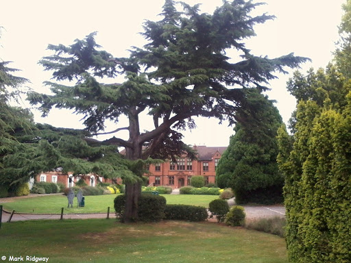 Strode's College (Windsor Forest Colleges Group) - Thumbnail