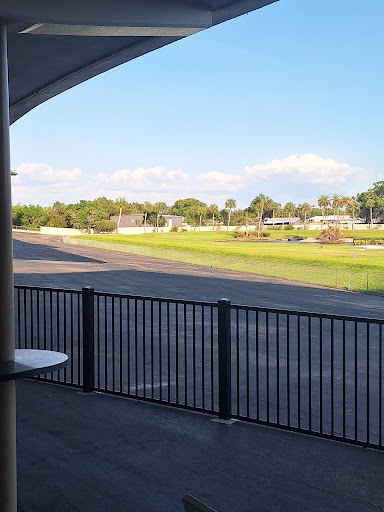 Nicholson Bayou - Visual