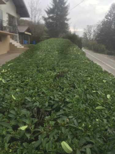 9 bis Rte de la Chapelle Réanville, 27950 Saint-Marcel