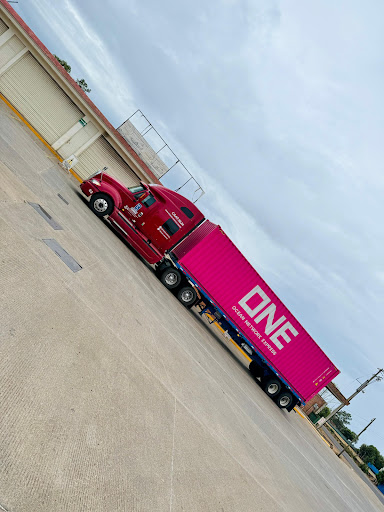 Roques Logistics - Visual