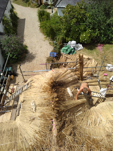 Celtic Thatch - Visual