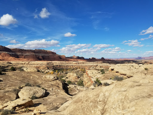 LC1 Campground - Visual