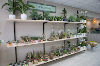 Le Jardin des Fleurs à Talmont-Saint-Hilaire