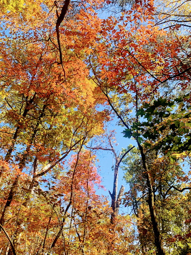 Dockery Lake Recreation Area - Thumbnail
