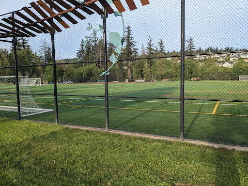 Central Park Fields - Visual