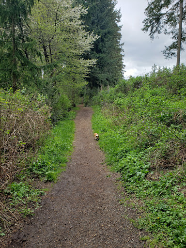 Viking Park, Off-leash Dog Park - United States