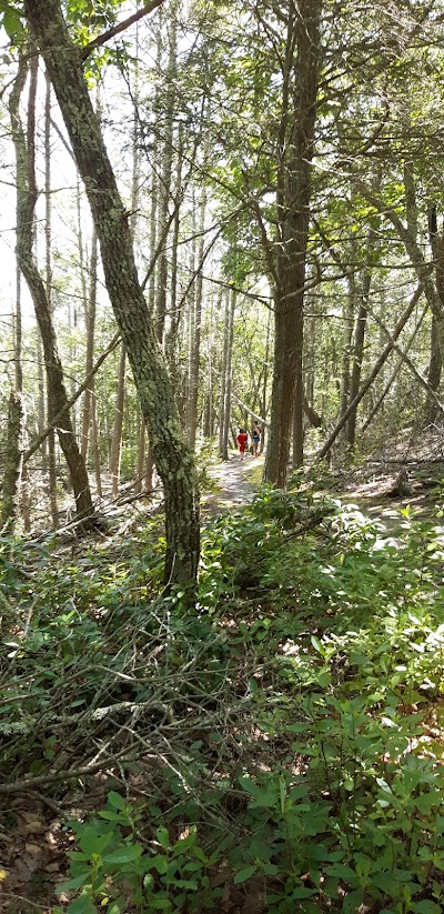 Ell Pond Preserve Trailhead