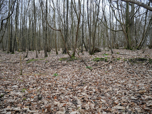 Tilburstow Hill