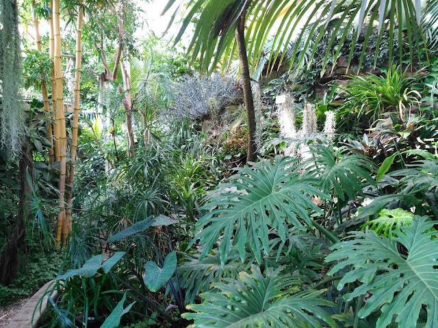 Jardin botanique de l'université de Strasbourg