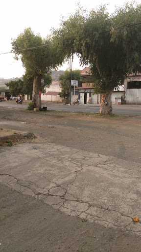 Autopartes Cotija - Thumbnail