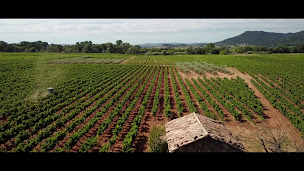 Photo n°2 de Maison Rivier - Vin Côtes du Rhône, Gard à Chusclan (Cave à vins)