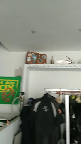 DIVENESS - Αθλητικό είδος