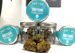 Photo n°2 de SATYVA Cahors : CBD shop à Cahors (Magasin)