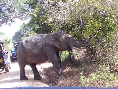 Photos of Nadishan Tours Hikkaduwa Taxi