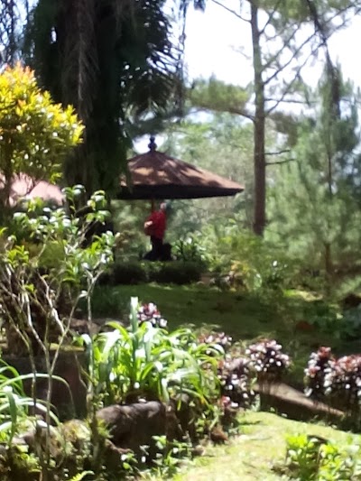 Photos of Dhea Florist