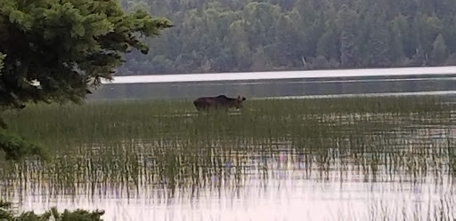Feldtmann Lake Campground - Thumbnail