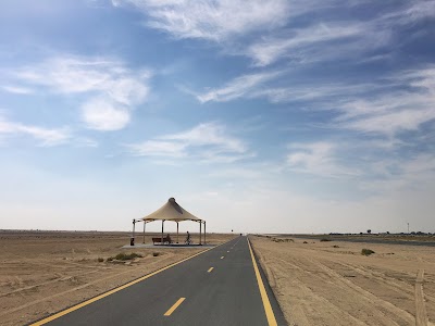 Photos of Al Qudra Cycling Path