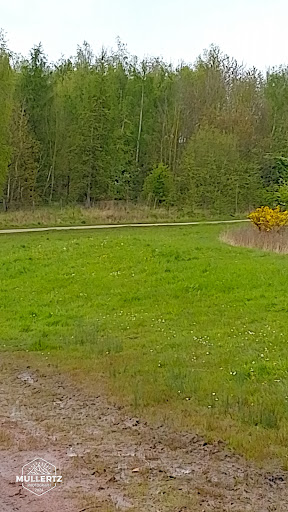 Brodsworth Country Park Car Park - Thumbnail