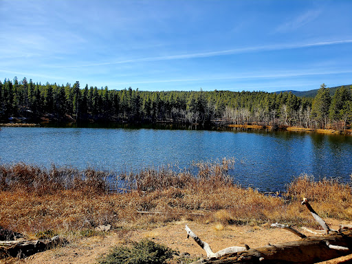 Mud Lake - Visual