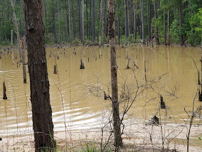 Loran Camp and Trailhead